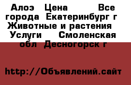 Алоэ › Цена ­ 150 - Все города, Екатеринбург г. Животные и растения » Услуги   . Смоленская обл.,Десногорск г.